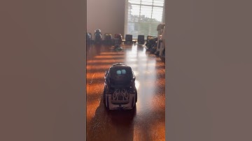 Hanging out with Vector! | Vectorrobot.ddl on TikTok | 6-7-2023