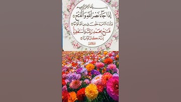 🌿 سورة النصر تلاوة هادئة | طمأنينة وسكينة 🌿