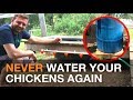🔨  🐓 I Made An Automatic Chicken Watering System Gravity Fed From a Rain Barrel 💦