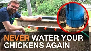chicken watering gravity system automatic fed barrel rain waterer water chickens coop pvc feeders build feeder coops runs garden