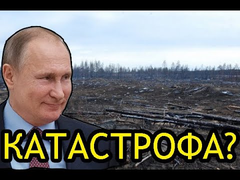 ШОК! Госдума ПРИКАЗАЛА начать УНИЧТОЖЕНИЕ ЛЕСОВ возле БАЙКАЛА