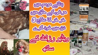 Murgi ka ilaj ||بدلتے موسم میں مرغی کے حلق میں خر خر کا علاج 3 دن میں خود کرے ویڈیو رزلٹ کے ساتھ ||