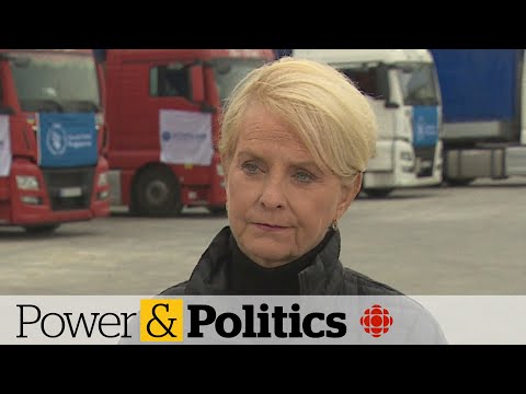 Video: Merita Cindy McCain