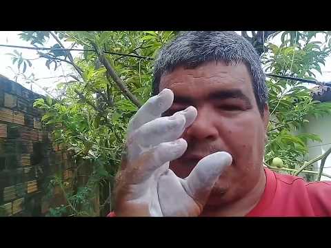 Vídeo: Informações sobre gesso de jardim - o gesso é bom para o solo