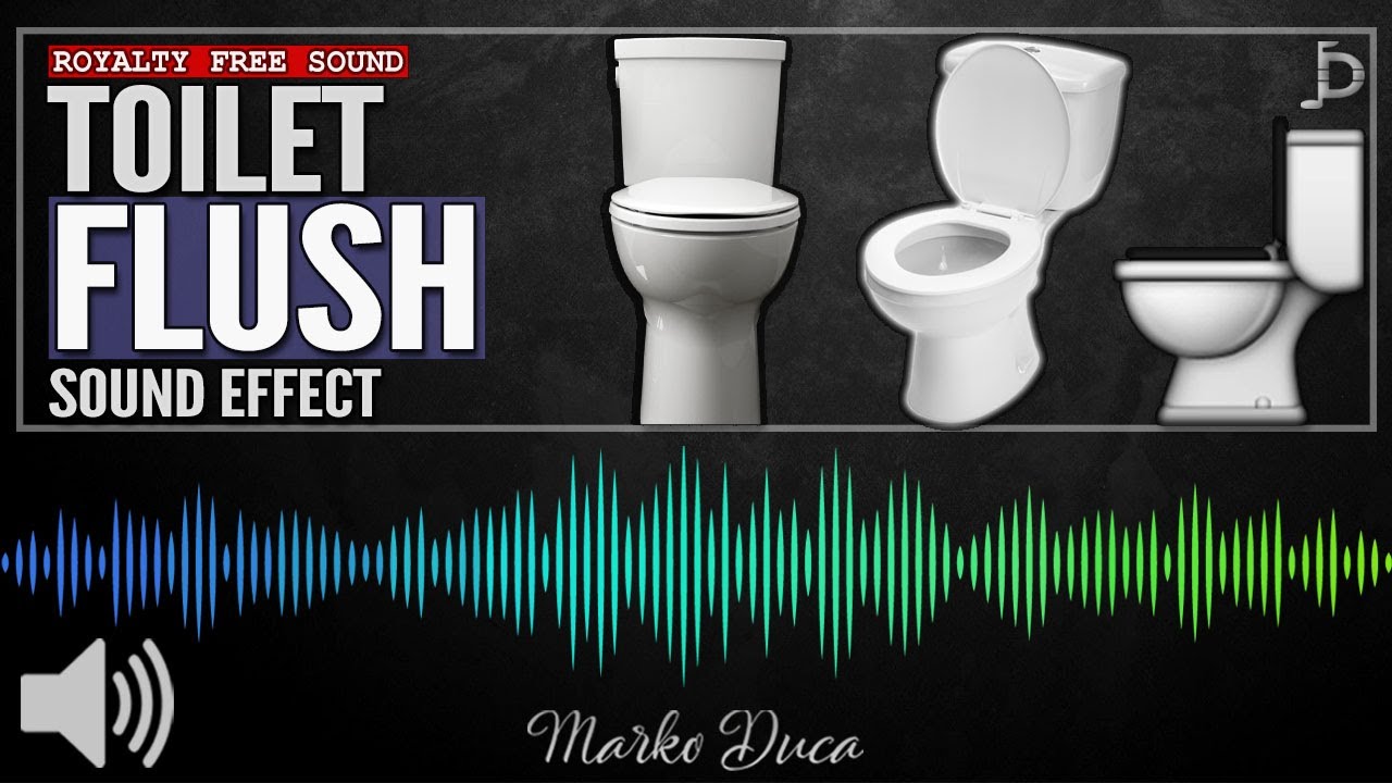 Toilet Sounds. Toilets sounds