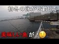 【大岡川分水路河口】初冬の12月突入！横浜市磯子区の細い川の河口で泳がせ釣りをしていたら…【2019.12.06】