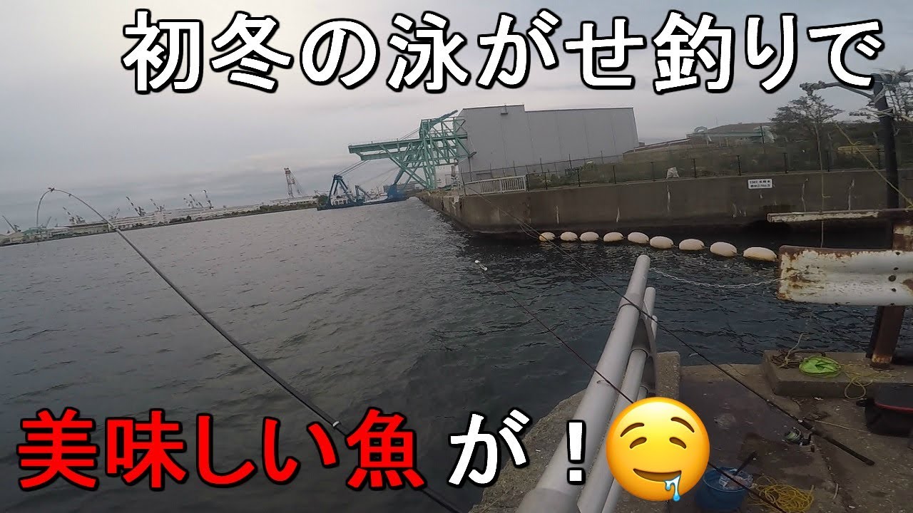 【大岡川分水路河口】初冬の12月突入！横浜市磯子区の細い川の河口で泳がせ釣りをしていたら…【2019.12.06】