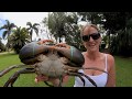 Sailboat Shopping & MONSTER Mud Crabs! We found a Sailboat and go Crabbing. Ep.2