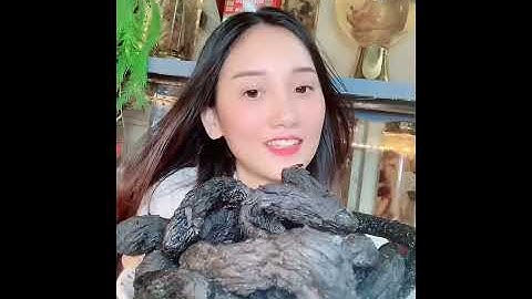 QUAY CẬN CẢNH NHỤC THUNG DUNG ĐEN - THẢO DƯỢC BẢO KHÁNH