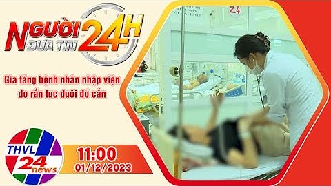 Người đưa tin 24H (11h ngày 01/12/2023) - Gia tăng bệnh nhân nhập viện do rắn lục đuôi đỏ cắn