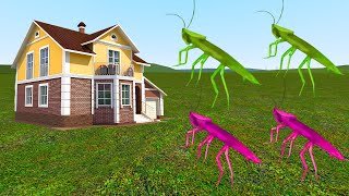 Cockroach Family Vs Houses!!! - Garry's Mod