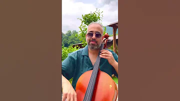 Despacito Luis Fonsi 