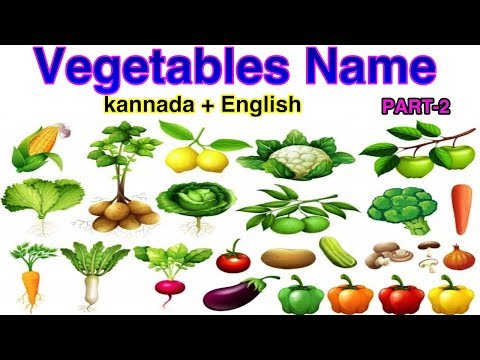 Vegetable Names with Pictures| Different Types Of Vegetables |ತರಕಾರಿಗಳ ಹೆಸರುಗಳು|Kids Learning Part 2