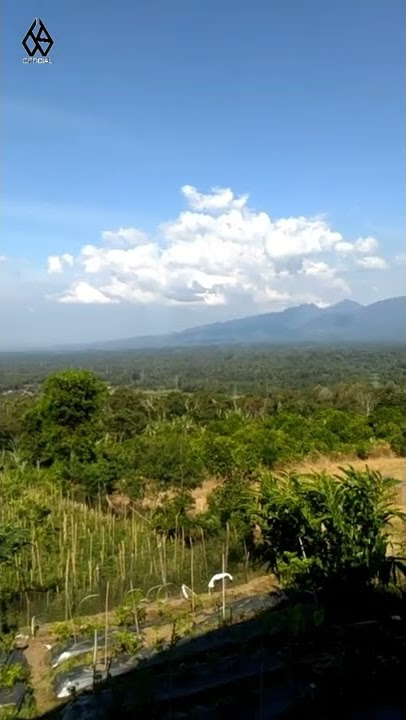 Story WA Bersyukur || Opick-Alhamdulillah