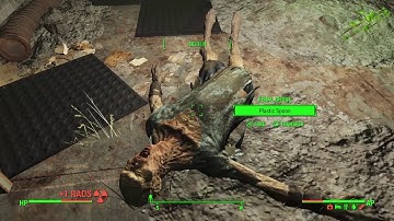 Fallout 4 mother of the fog