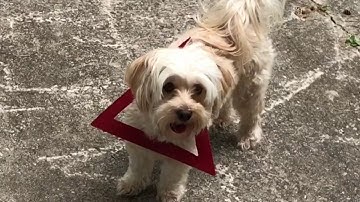 Centers of a Triangle