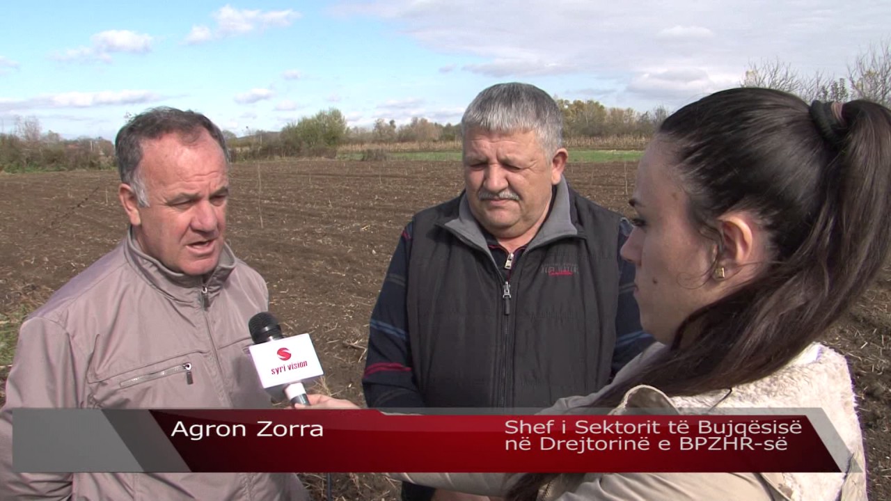 Fillon mbjellja e fidaneve të lajthisë dhe arrës në rajonet e Gjakovës - Lajme