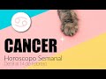 CANCER! ♋️ ALGUIEN SIENTE AMOR Y TE EXTRAÑA MUCHO 🤯💔 NECESITA ESCUCHAR TU VOZ 📲LO VA A HACER