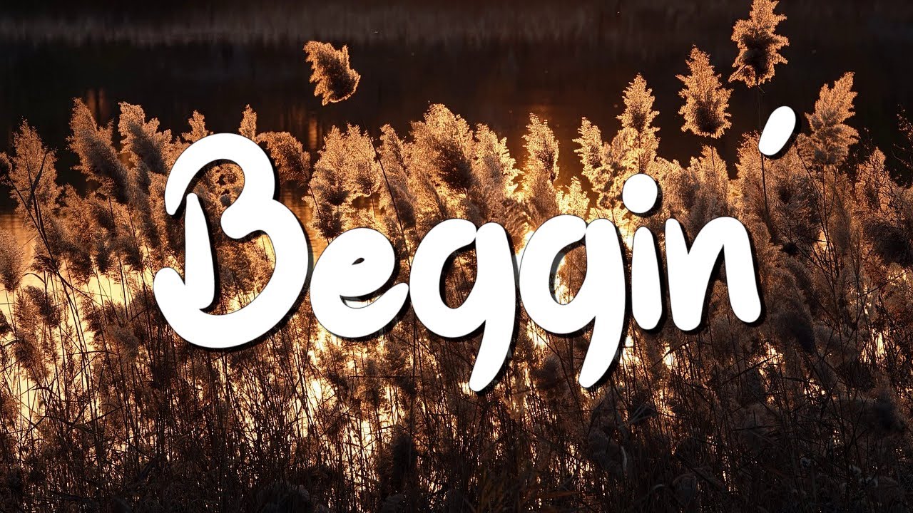 Beggin - Måneskin (Lyrics) || House of Memories, Titanium (MixLyrics) Beggin - Måneskin (Lyrics) || House of Memories, Titanium (MixLyrics)