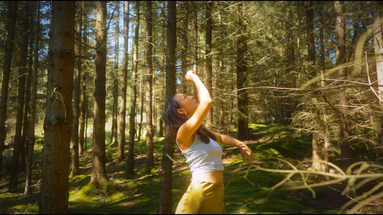 Watch Alicee - Fly (music video) on YouTube Watch Alicee - Fly (music video) on YouTube