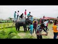 Sonar Bangla Resorts, Krishangang Chanchal Malda #sonarbangla #resort #park #vlog #travel
