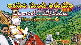 Alipiri Mettu To Tirumala By walking Total Steps - 3550 |అలిపిరి నుండి తిరుమల మెట్ల మార్గం