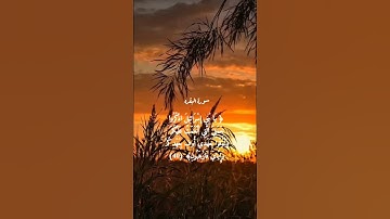 لا إله إلا اللّٰه 🍀 القرآن الكريم 🍀سورة البقره 🍀القارئ مشاري العفاسي 🍀اللهم صلِّ وسلم وبارك على محمد