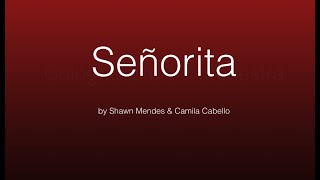 Video thumbnail of "Señorita | Shawn Mendes, Camila Cabello | [Cover] Cologne Ukulele Orchestra"