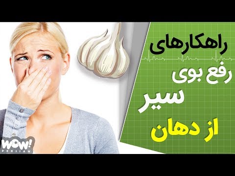 تصویری: چگونه سیگار کشیدن به سلامت حیوانات خانگی آسیب می رساند - خطرات دود سیگار برای حیوانات خانگی