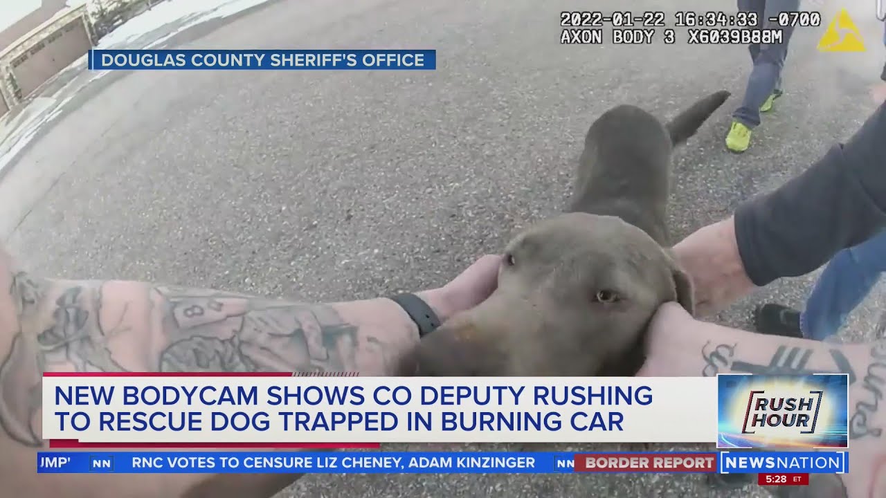 Colorado deputy saves dog from burning car Rush Hour YouTube