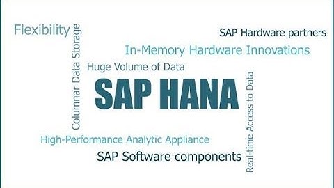 SAP HANA Demo By SAP SOLUTIONS