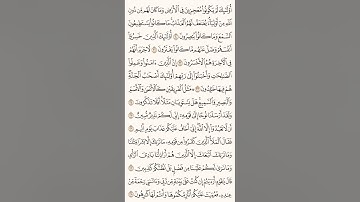 سورة هود من آية (١٣) إلى آية (٤٧) للقارئ آدم عبدالله السالم