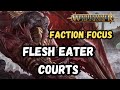 Have they changed much  flesh eater courts  faction focus  age of sigmar 4th edition