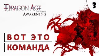 Dragon Age Origins (Пробуждение) Прохождение (#3) - Неплохая Команда Намечается