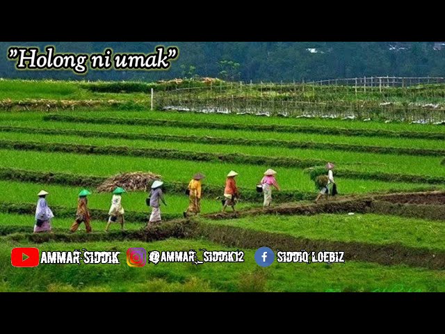 Lagu Mandailing Sedih||Holong Ni Umak class=