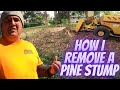 How i remove a pine stump