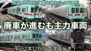 【廃車が進むも主力車両】とにかく多くの組成の種類がある西鉄天神大牟田線！ 西鉄アイスグリーンが美しい… 2024.5