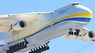 Antonov An 225 Mriya, World's Largest Cargo Plane, Lands In Hyderabad Antonov An 225 Mriya, World's Largest Cargo Plane, Lands In Hyderabad