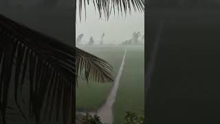 Mưa bão đầu mùa Miền Tây | Mưa gió muabao