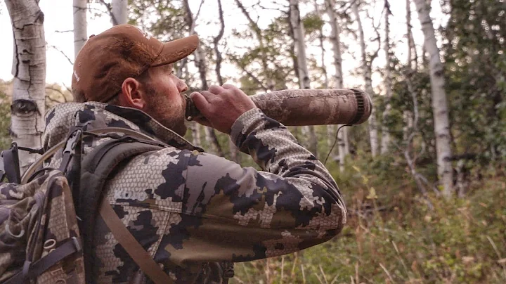 Colorado Elk Hunt during the Rut with Muzzleloader
