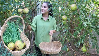 Pick pomegranate fruit and collect vegetable for cooking / cooking with Sreypov