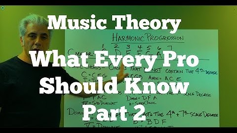 Music Theory Lecture - What Every Pro Musician Needs To Know  Pt 2