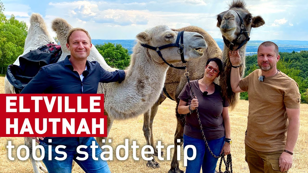 Steinau hautnah! | Tobis Städtetrip | doku | reisen