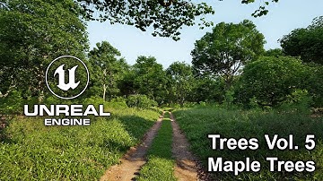 Trees Vol. 5 | Maple Trees | Unreal Engine 5.3 | Ultra Realistic Wind | BFP 2.6 #unrealengine #UE5