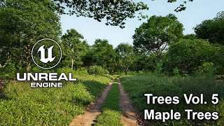 Trees Vol. 5 | Maple Trees | Unreal Engine 5.3 | Ultra Realistic Wind | BFP 2.6 #unrealengine #UE5