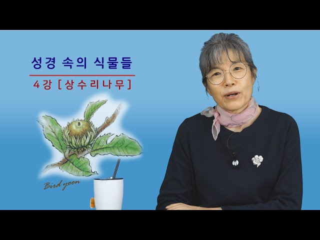 4강 - '성경 속의 식물들'에 감추어진 의미들 [상수리 나무] / 남은순의 요벨 TV class=