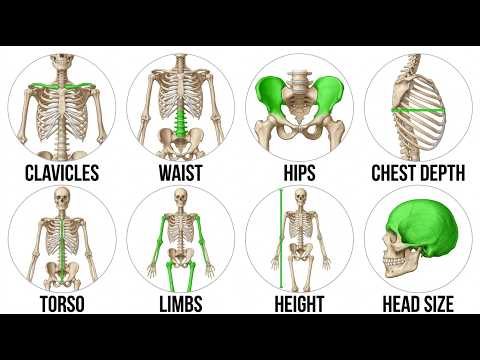 Every Bone Structure Explained (Good vs Bad Genetics)
