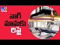 Wild Dog Challenge: Sushanth replies to his uncle Nagarjuna's challenge