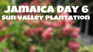 Jamaica - Day 6: Sun Valley Plantation (4K)