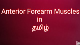 Anterior Forearm Muscles(superficial and deep)in தமிழ்/Muscles of Upperlimb in தமிழ்/Forearm Muscles